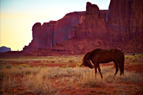 Monument Valley - Navajos avec cheval Destination Amériques